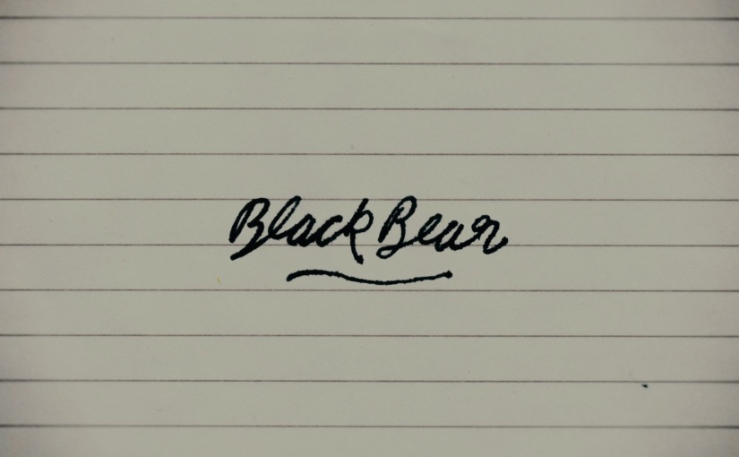 Black Bear (Lawrence Michael Levine, 2020) Review